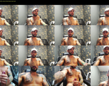 dominic_fox