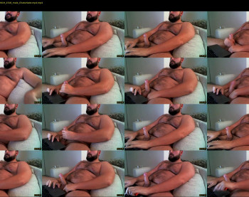gainerbeardedcub