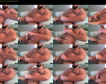 gainerbeardedcub