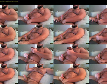 gainerbeardedcub