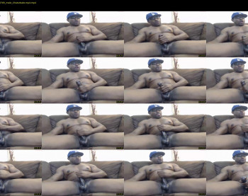 paradise699