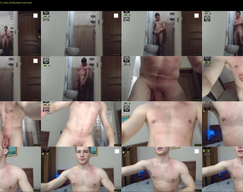 pitbul979