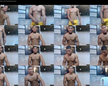teddyfit19cm