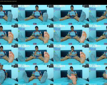 _mateo_hawk_