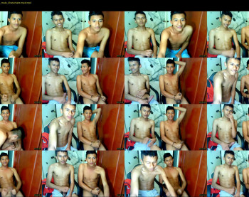 fox_dick