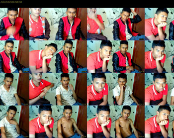 fox_dick