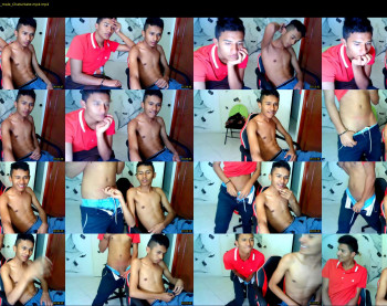 fox_dick