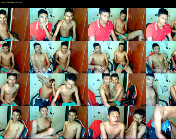 fox_dick