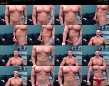 haydenspears