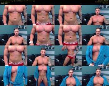 haydenspears