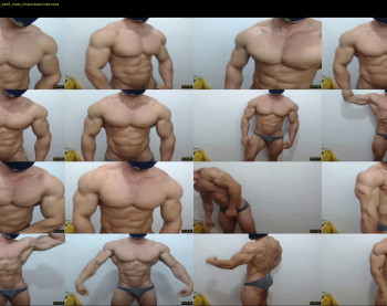 promuscles4u