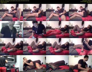 sharkdickwilly