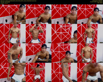heteros_flexibles2019