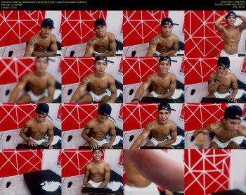 heteros_flexibles2019