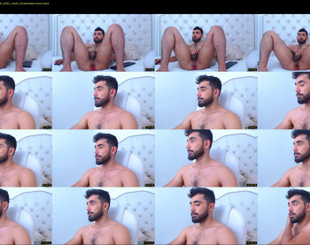 hornybull4ever