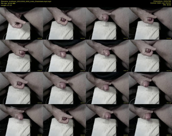 mvdmeer