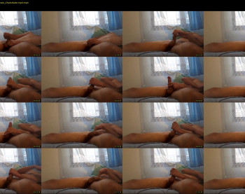 sady4