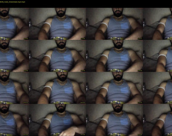 tigerking333