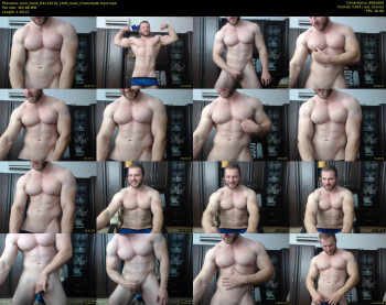 alvin_hunk
