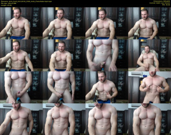 alvin_hunk
