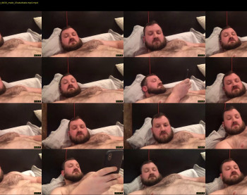 dadbulgelover