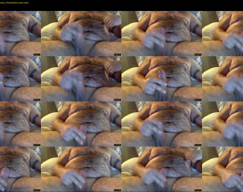 lblh03