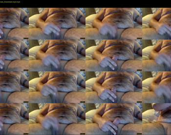 lblh03