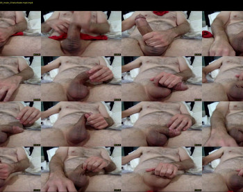 puslicker4