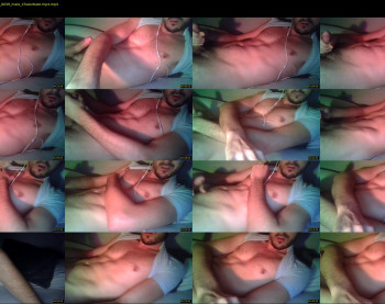raphael_1991