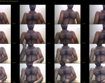 teddybear2302