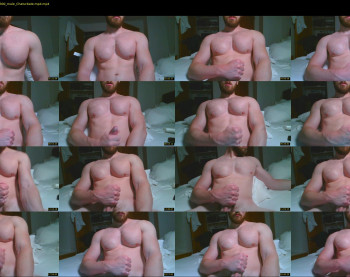 feelmypecs