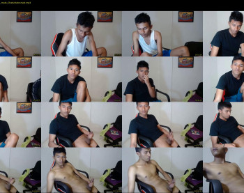 fox_dick