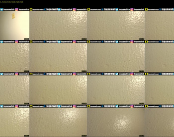 loganwall