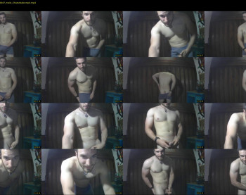 osito_blanco