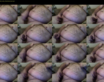 bighairytop
