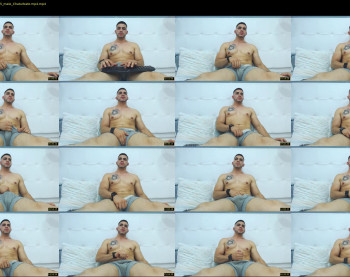 frank_fox