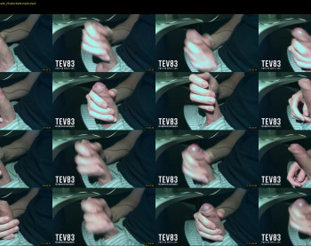 tev83