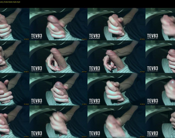 tev83