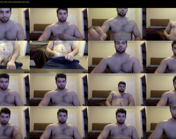 italianstallion252