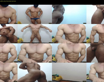 promuscles4u