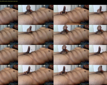 bangalore_cock_