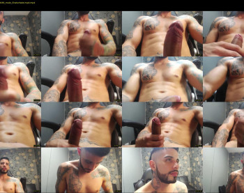 dominic_fox