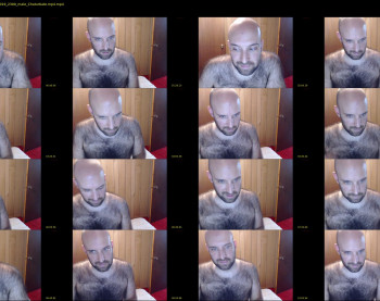 mrteapot365