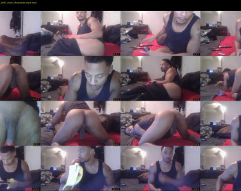 sharkdickwilly