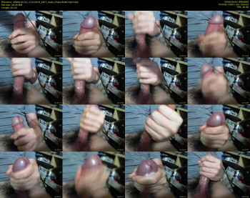 sjfwkt131112