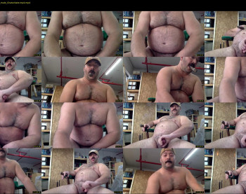 cjbbear