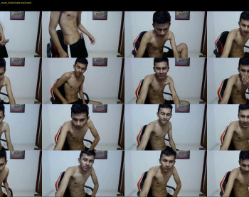 fox_dick