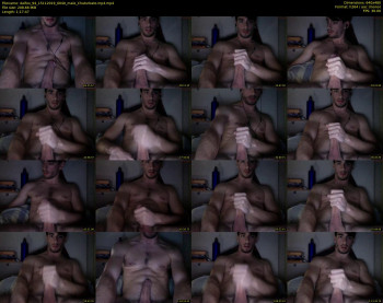 dalfox_94