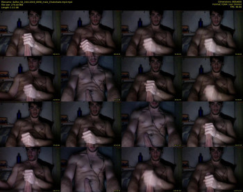 dalfox_94