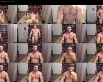 stevebulkzor